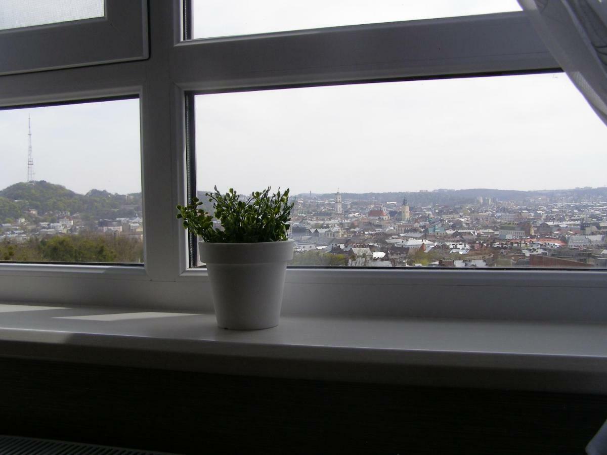 Panorama *